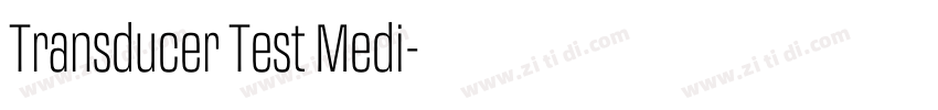 Transducer Test Medi字体转换